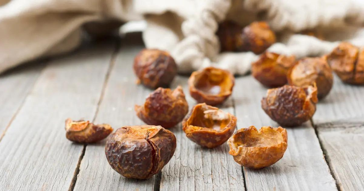 You are currently viewing What Are Organic Soap Nuts?