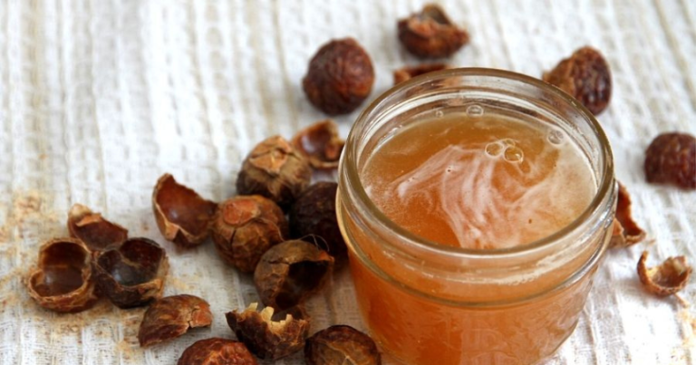 Read more about the article How to Make Shampoo from Organic Soap Nuts?