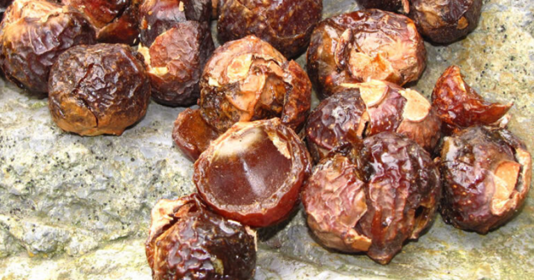 Read more about the article Can Organic Soap Nuts Be Used for General Household Cleaning?